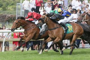 Consensus (NZ) winning the Zabeel Classic at Ellerslie. Photo: Trish Dunell